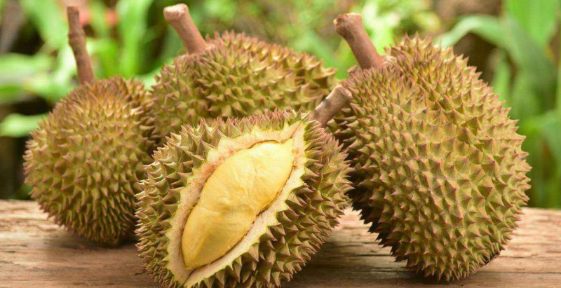 越南林同省多個(gè)單位和農(nóng)戶登記對(duì)中國出口榴蓮