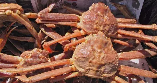 食品進口時必須知道的管理制度，進口食品不合格處置監(jiān)管制度，跟著心海供應(yīng)鏈上海食品進口清關(guān)一起來看下吧，需要上海食品進口清關(guān) 歡迎來電咨詢。