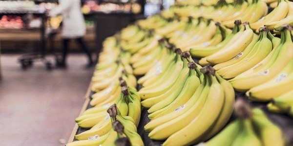玻利維亞上半年香蕉出口增加 國內種植戶為何陷入危機？