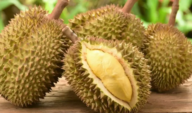 越南榴蓮將正式對(duì)華出口