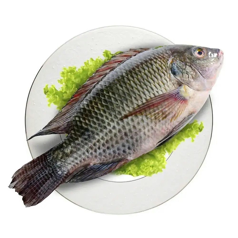 羅非魚產(chǎn)品出口報(bào)關(guān)