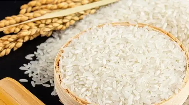俄羅斯糧食協(xié)會：2022-2023年俄羅斯糧食出口量可達(dá)5500萬噸