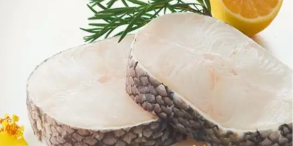 挪威真鱈養(yǎng)殖公司收獲第一批成品魚